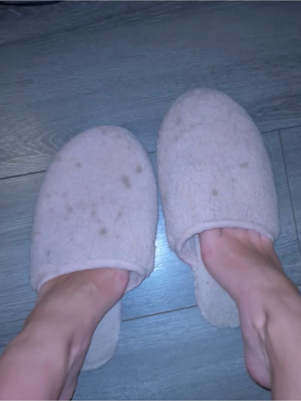Women’s Well Worn Slippers